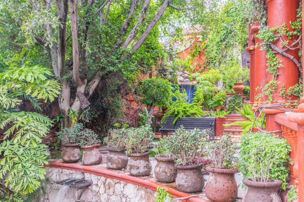 מלון סאן מיגל דה אלנדה Casa Puesta Del Sol מראה חיצוני תמונה